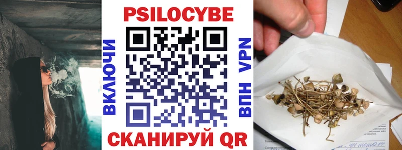 blacksprut маркетплейс  купить наркотики сайты  Малгобек  Галлюциногенные грибы Magic Shrooms 